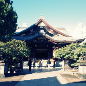 5150F0D6-7B29-45B6-96EA-69490E7338C2_1_105_c